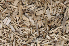 biomass boilers Fachell